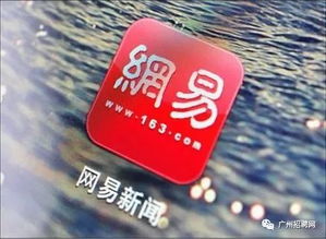 网易公司多岗位联招 加入互联网名企，尽享园区办公环境与福利